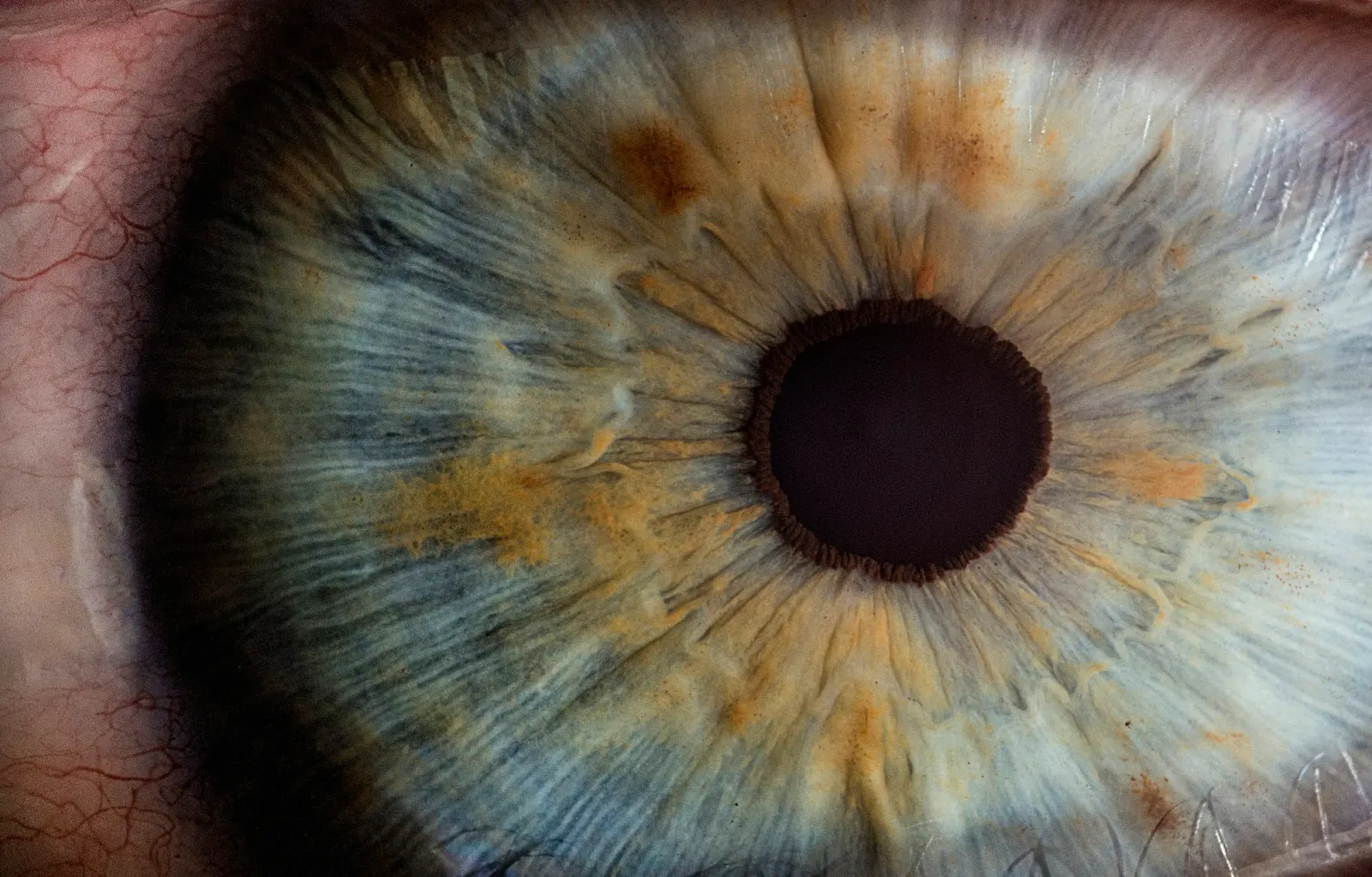 Close-up of a human eye